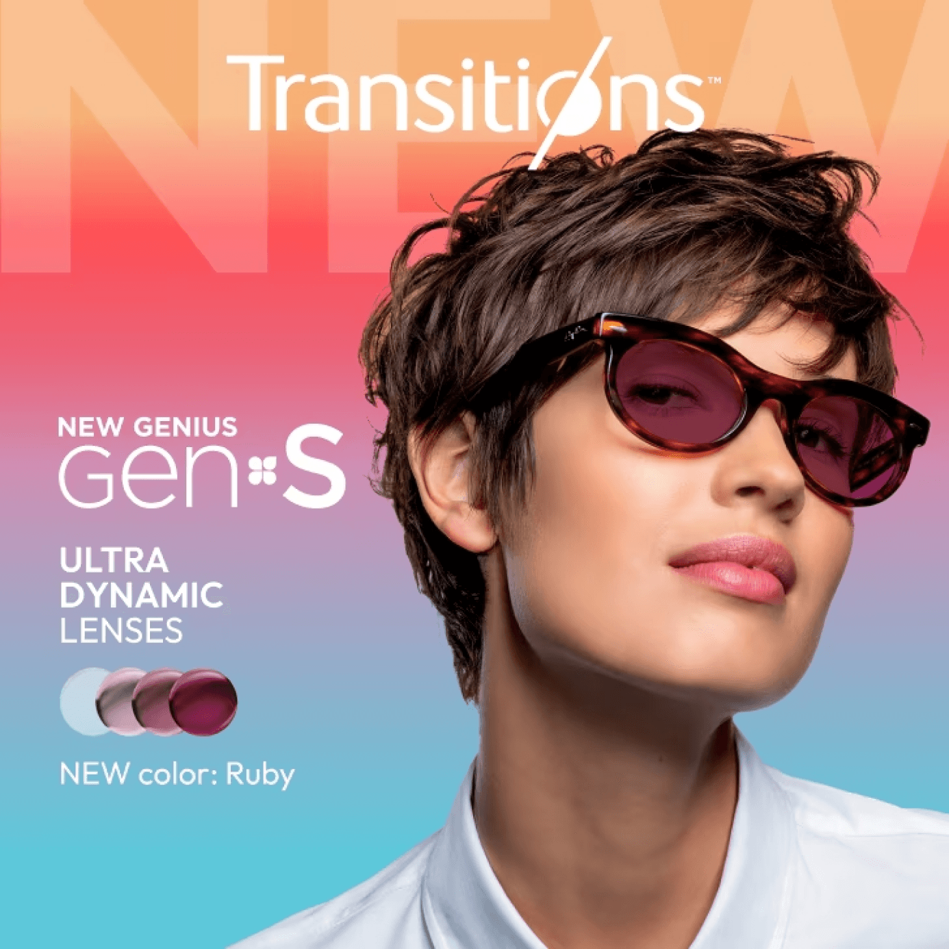 transition reading glasses